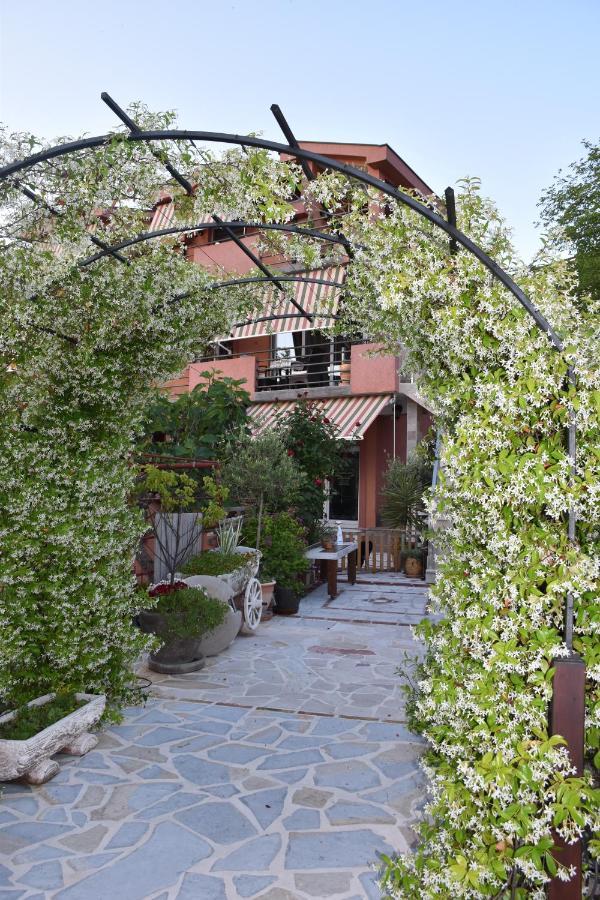 Apartments Scepanovic Тиват Екстериор снимка
