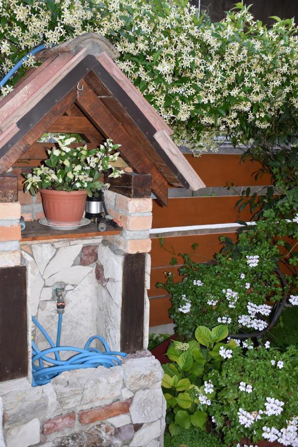 Apartments Scepanovic Тиват Екстериор снимка